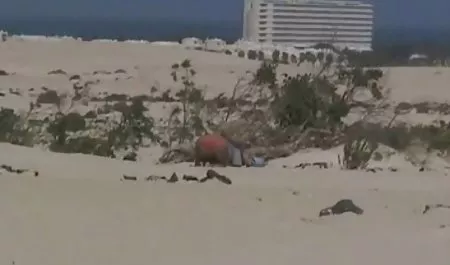 گابریل و خدمتکار عكس كير و كس